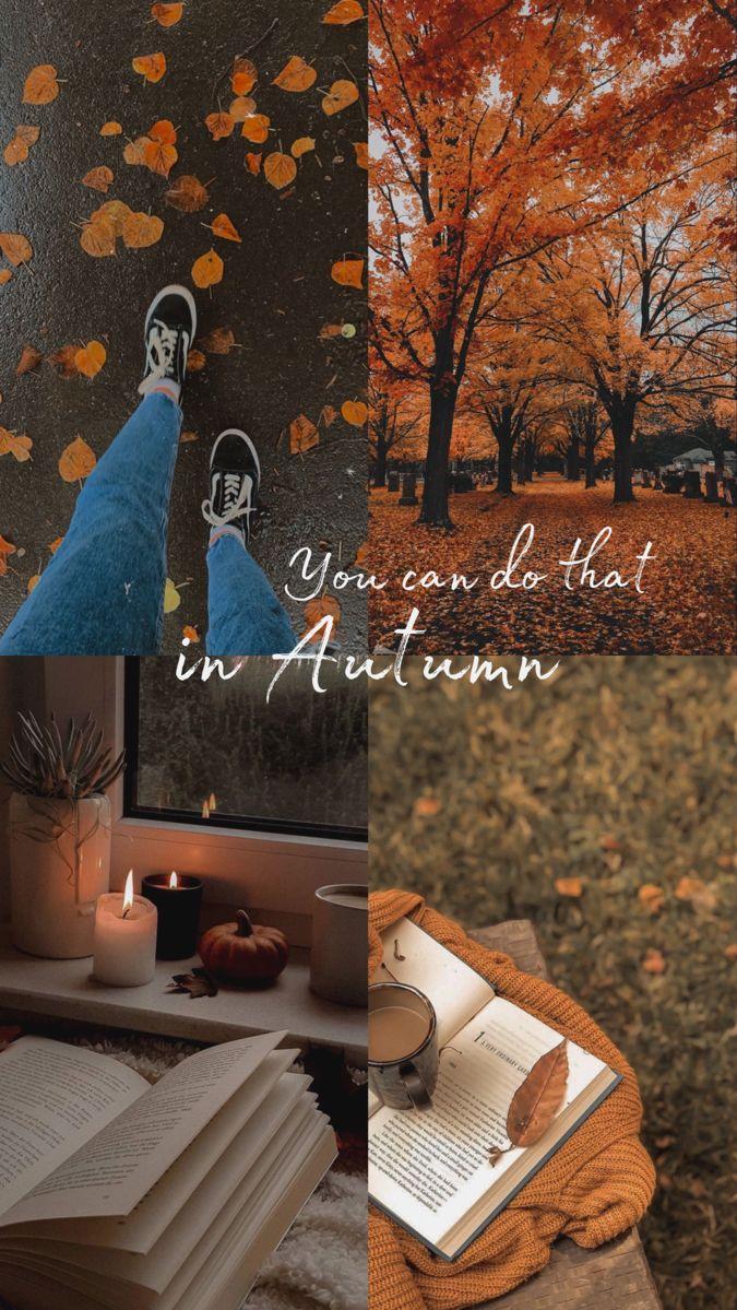 Autumn Collage Aesthetic Wallpaper You Can Do That In