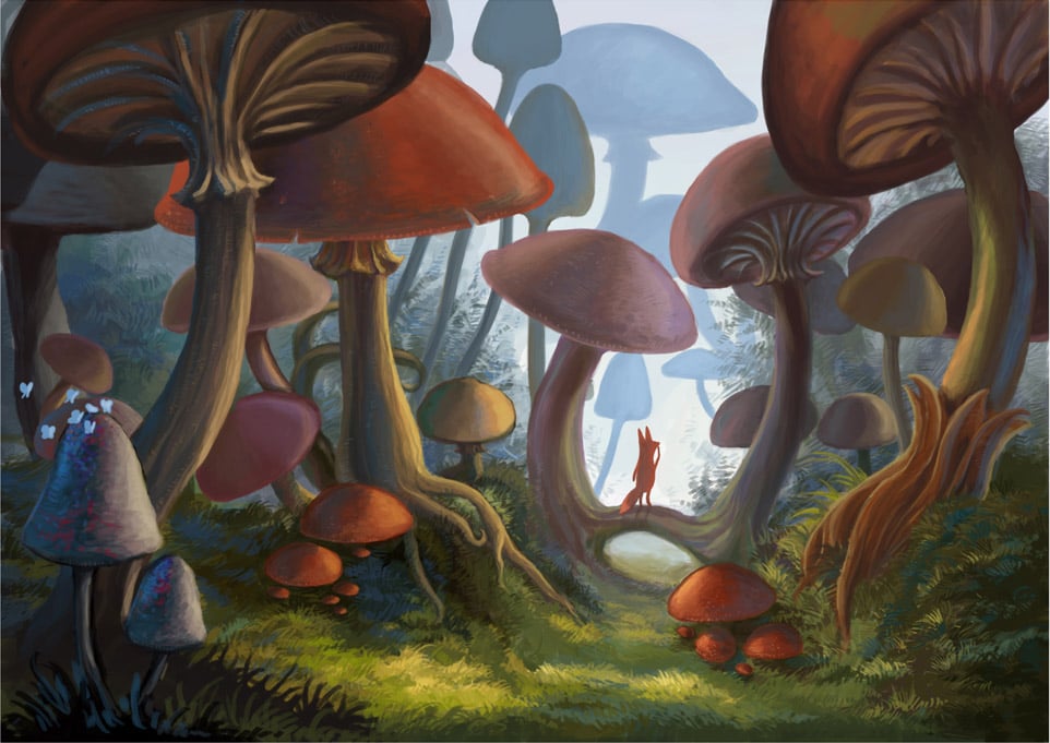 Wallpapers Mushroom Forest Wallpaper