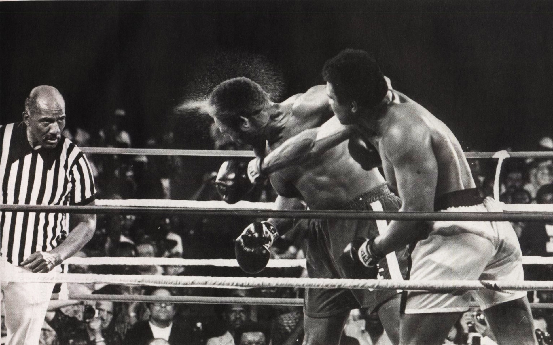 Muhammad Ali Wallpaper sports boxing fight 1920x1200