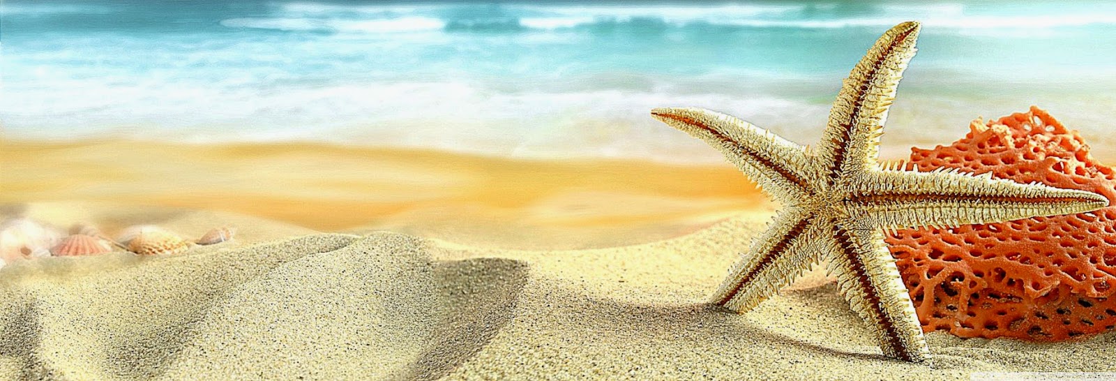 Beach Starfish Desktop Wallpaper Gallery