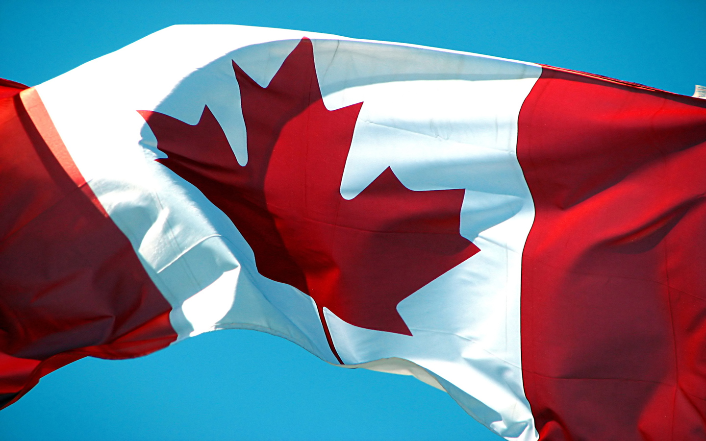 Free National Flag Day In Canada computer desktop wallpapers