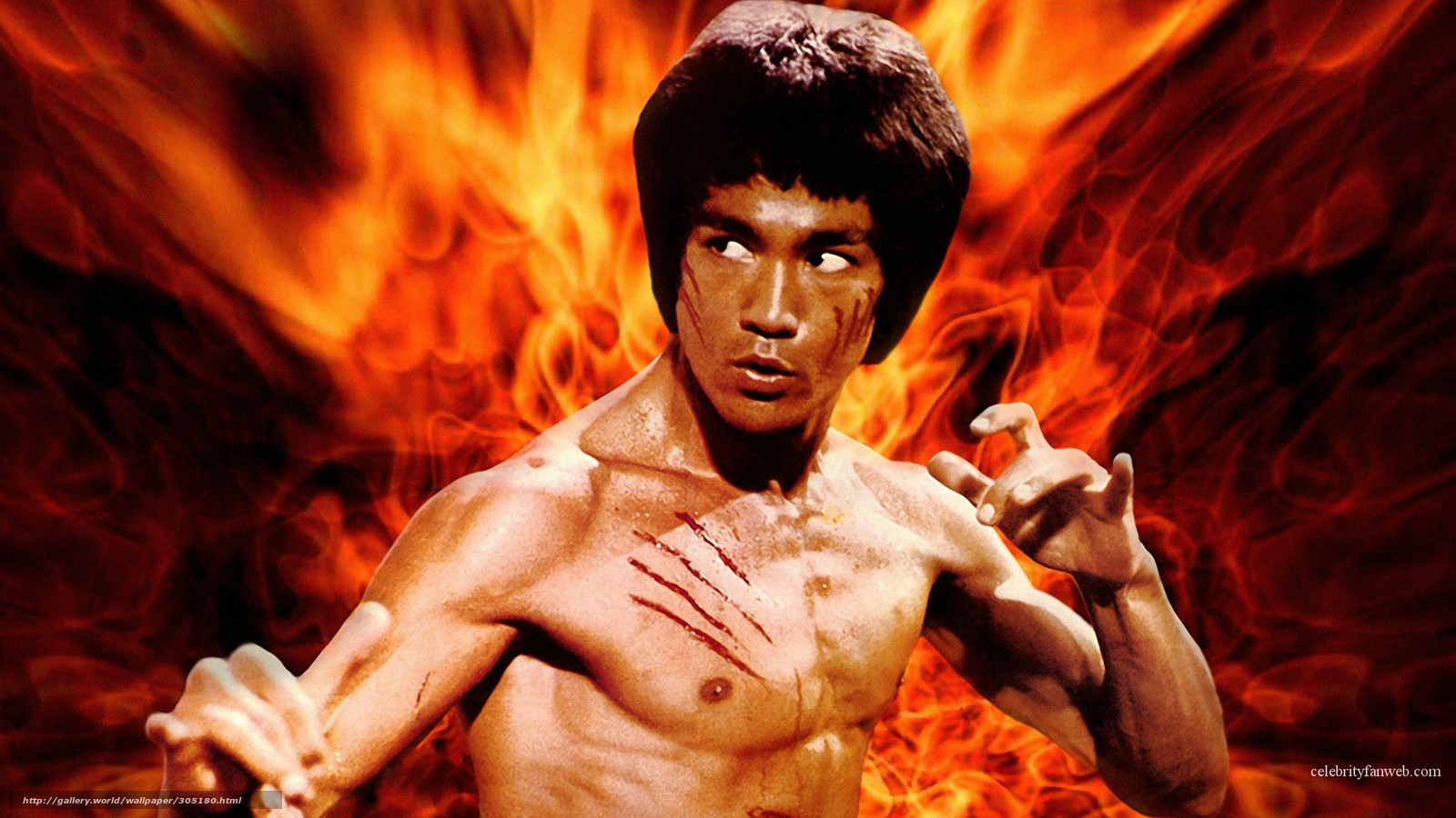 Download wallpaper Bruce Lee actor karate free desktop wallpaper in