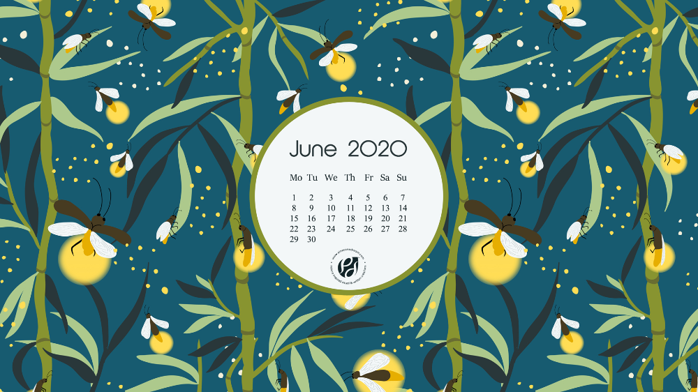 June Desktop Calendar Wallpaper Summer