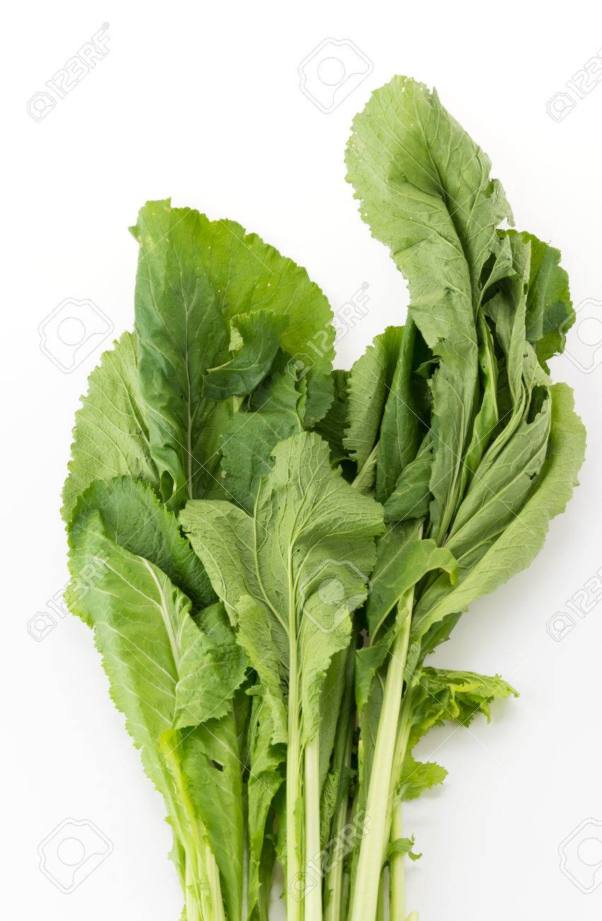 Chinese Spinach On White Background Stock Photo Picture And