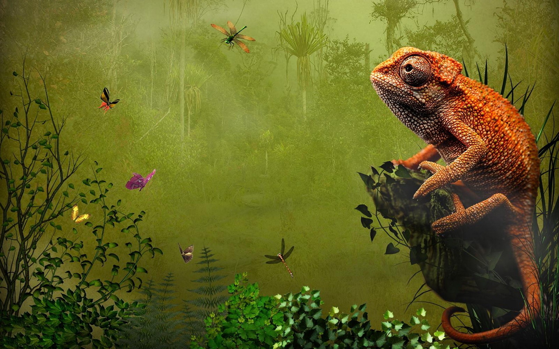 Nature Chameleons Artwork Reptiles Wallpaper