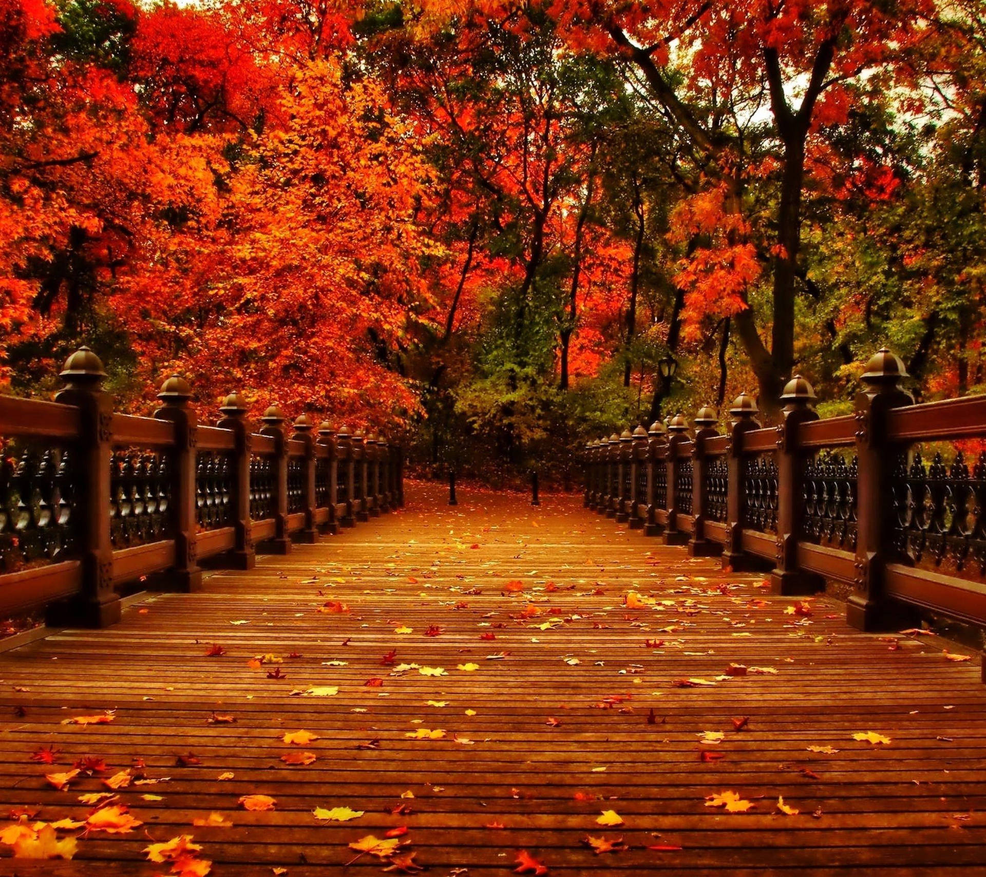 Top Aesthetic Fall Wallpaper Full HD 4k To Use