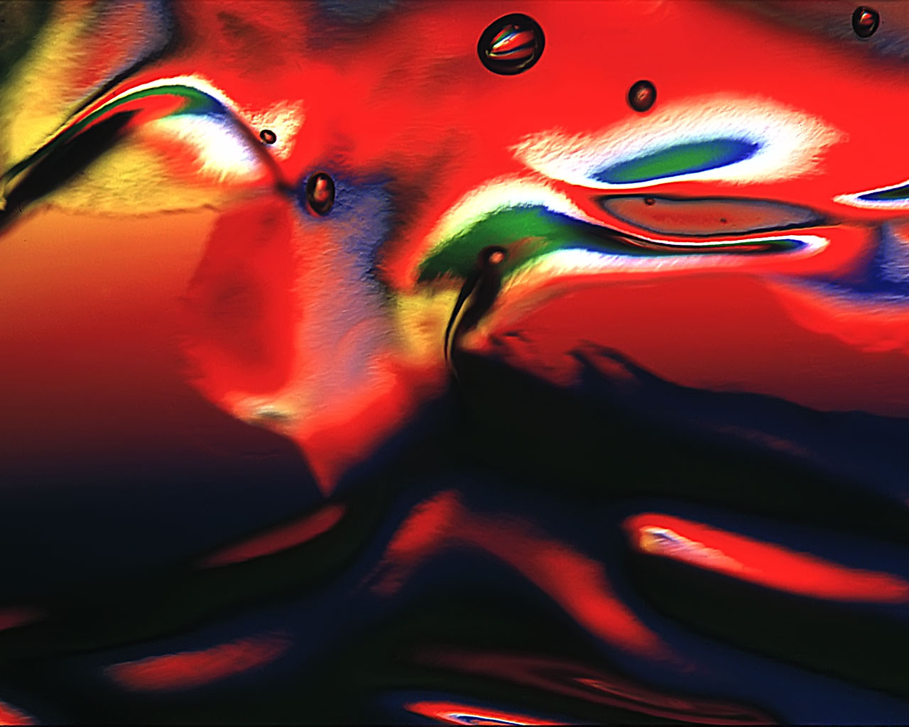 free-download-desktop-backgrounds-custom-1280x1024-for-your-desktop