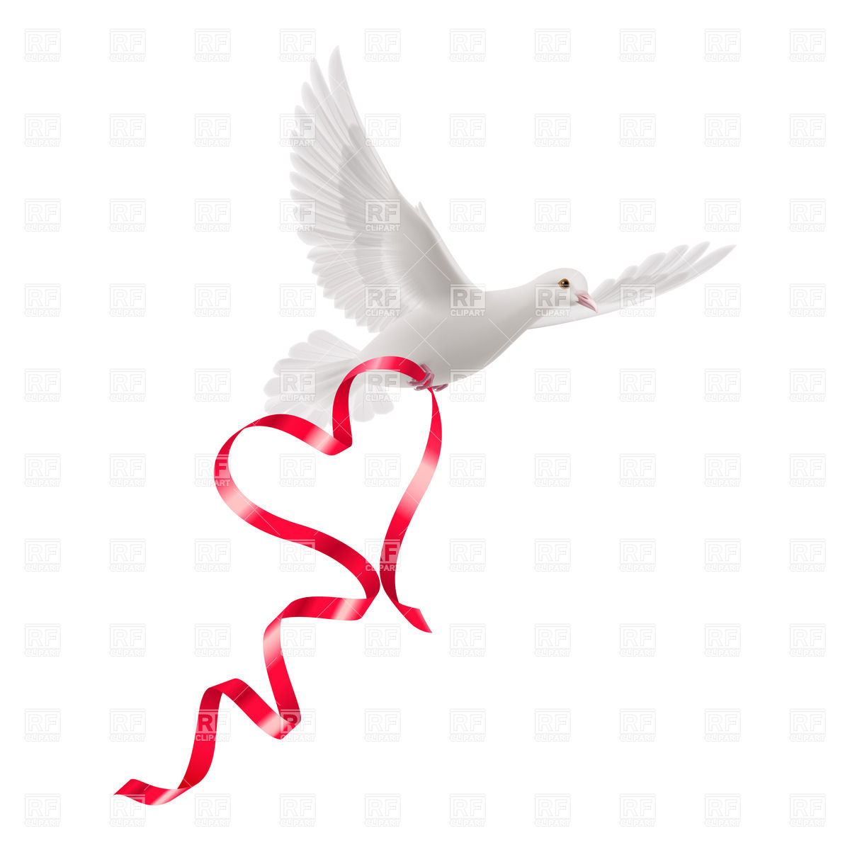 White Dove With Red Ribbon On The Background Vector Image Of