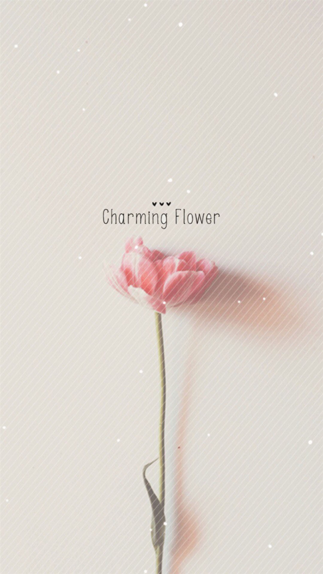 Pure Charming Flower Simple Pattern iPhone Wallpaper