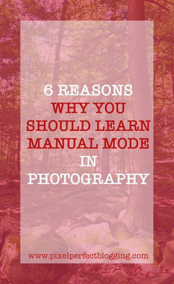 Juvenile Dslr Photography Tips Background Dslrnikon