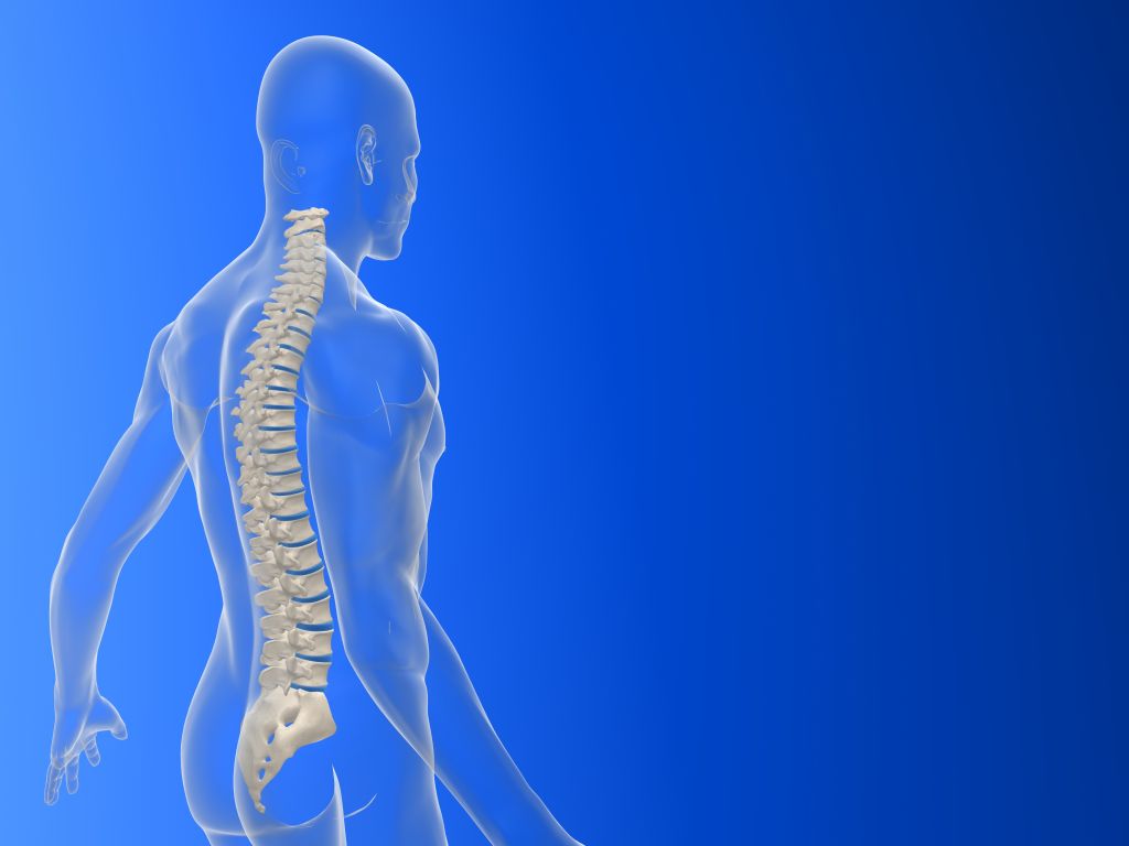 Chiropractic Medicine And Conditions Treated By Chiropractors
