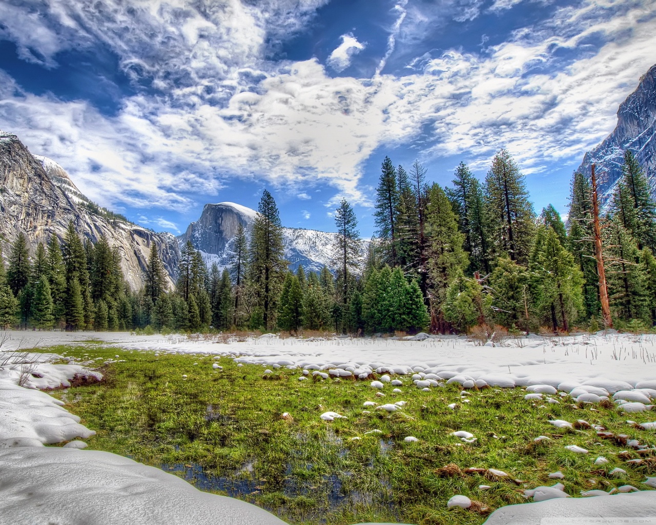 Yosemite Spring Grass Ultra HD Desktop Background Wallpaper For