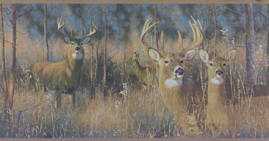 Buck And Doe Wallpaper Border Wg0346bd