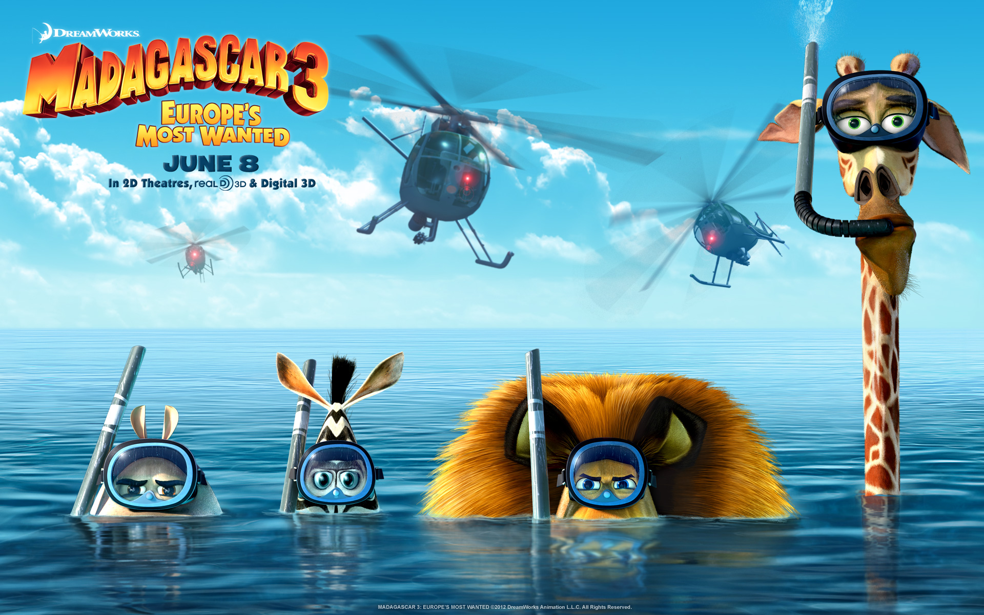 Madagascar Movie Wallpaper HD