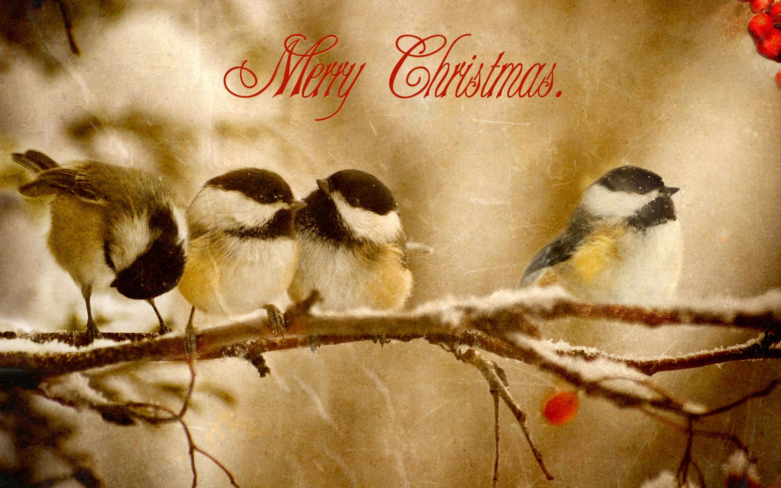 High Resolution Wallpaper Widescreen Christmas