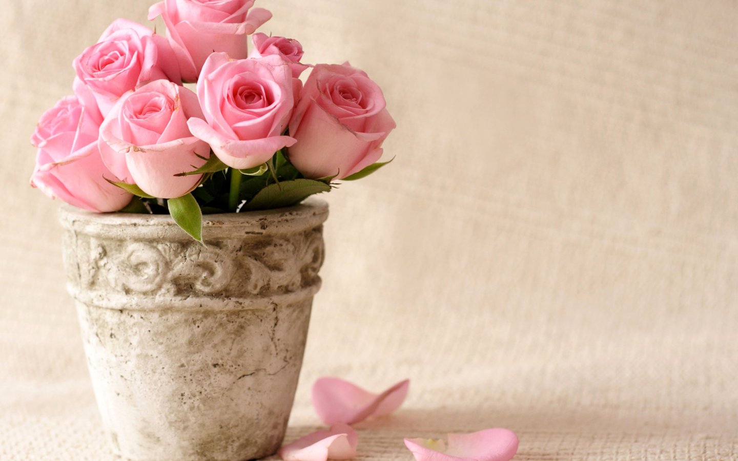 Download Flower Pink Petals Desktop Backgrounds