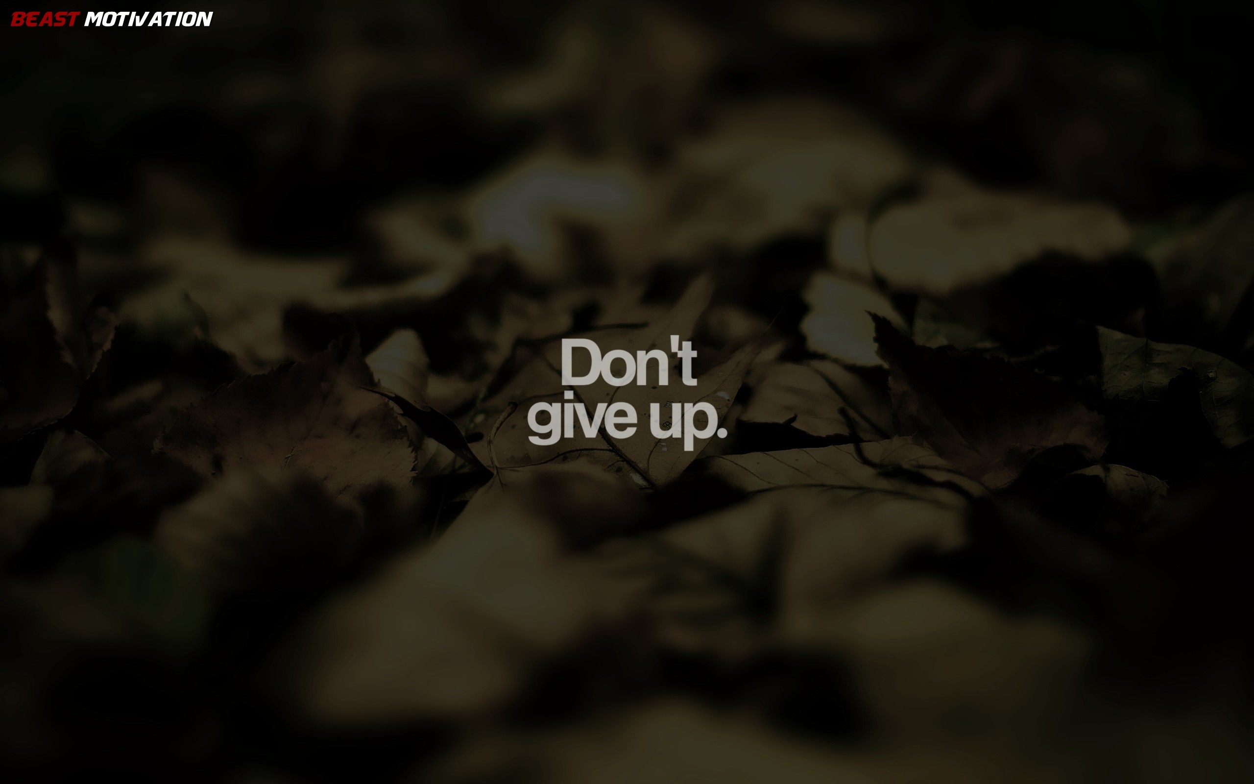 Motivational wallpaper with the text 'Don't give up' overlaid on a blurred image of fallen leaves