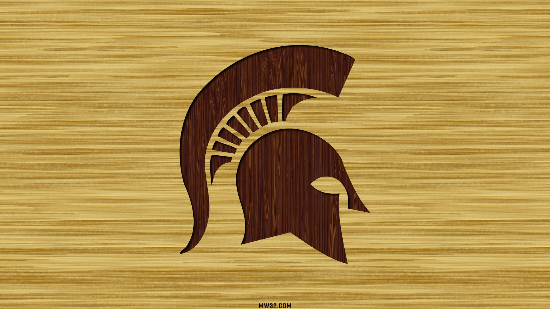 Michigan State Basketball Court Wallpaper Image