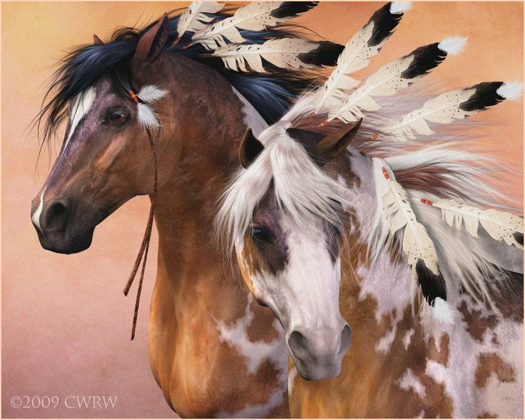 Indian Horse Art Paintings Bond Animals Horses Mustangs