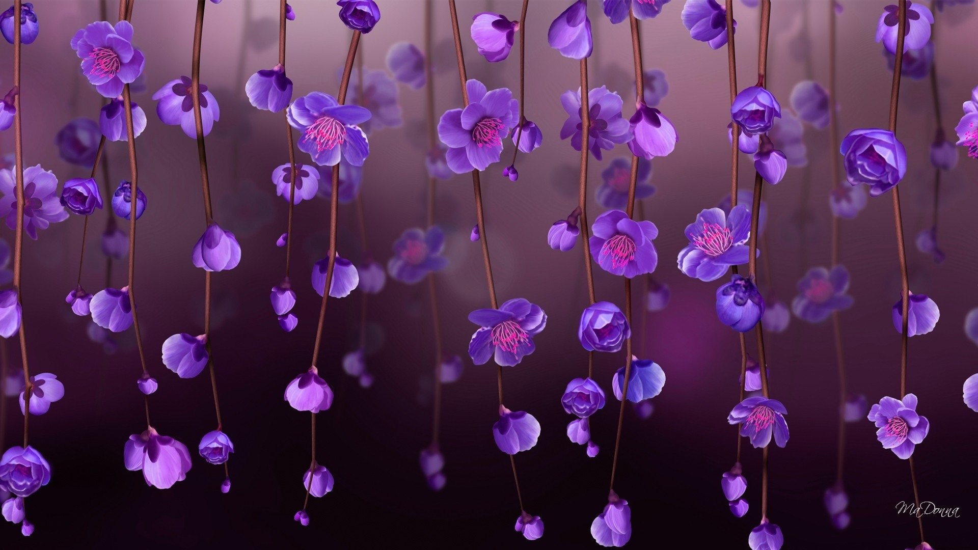 Purple Flowers Wallpaper