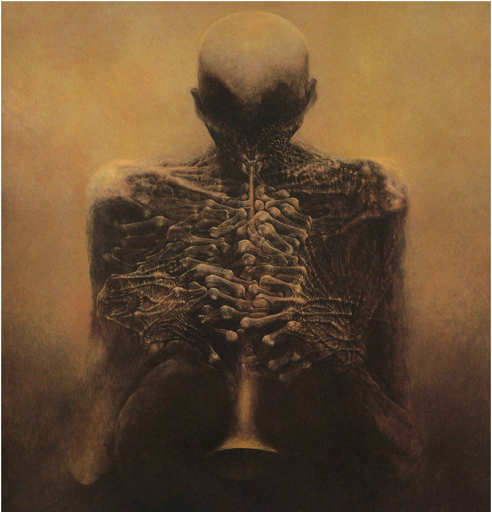 Skeleton Aesthetic Wallpaper