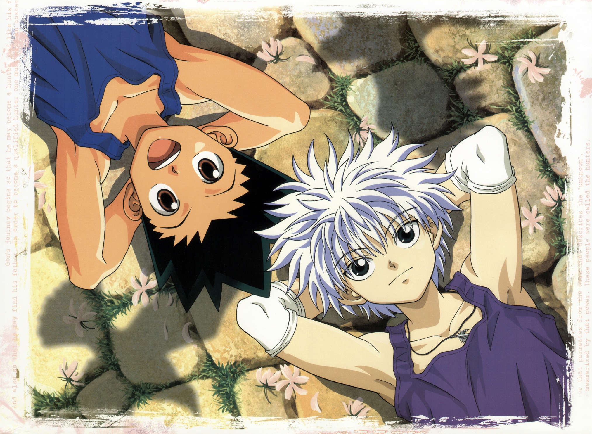 Hunter X Wallpaper