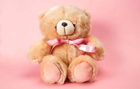 Teddy Bear Pink Toy Cute Plush Wallpaper Photos