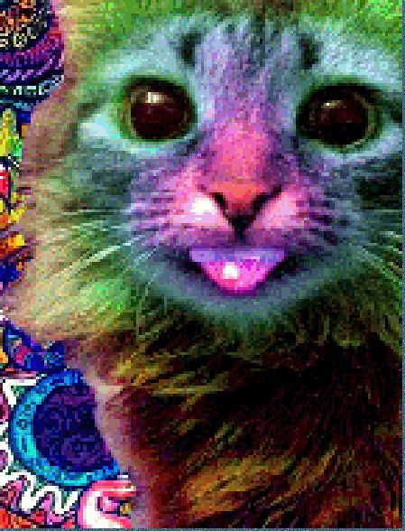 Trippy Animated Cat Pictures
