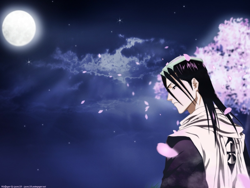 Bleach Kuchiki Byakuya Wallpaper Anime HD Desktop