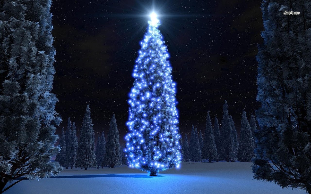 Blue Christmas Tree Lights Wallpaper Holiday
