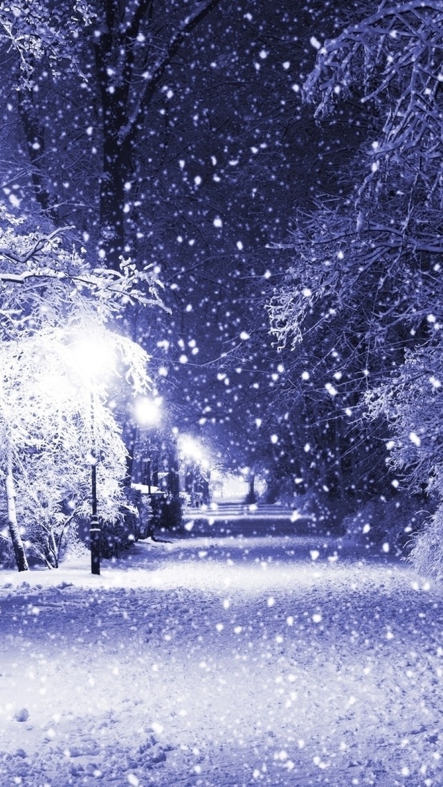 iPhone HD Wallpaper Winter Night Landscape