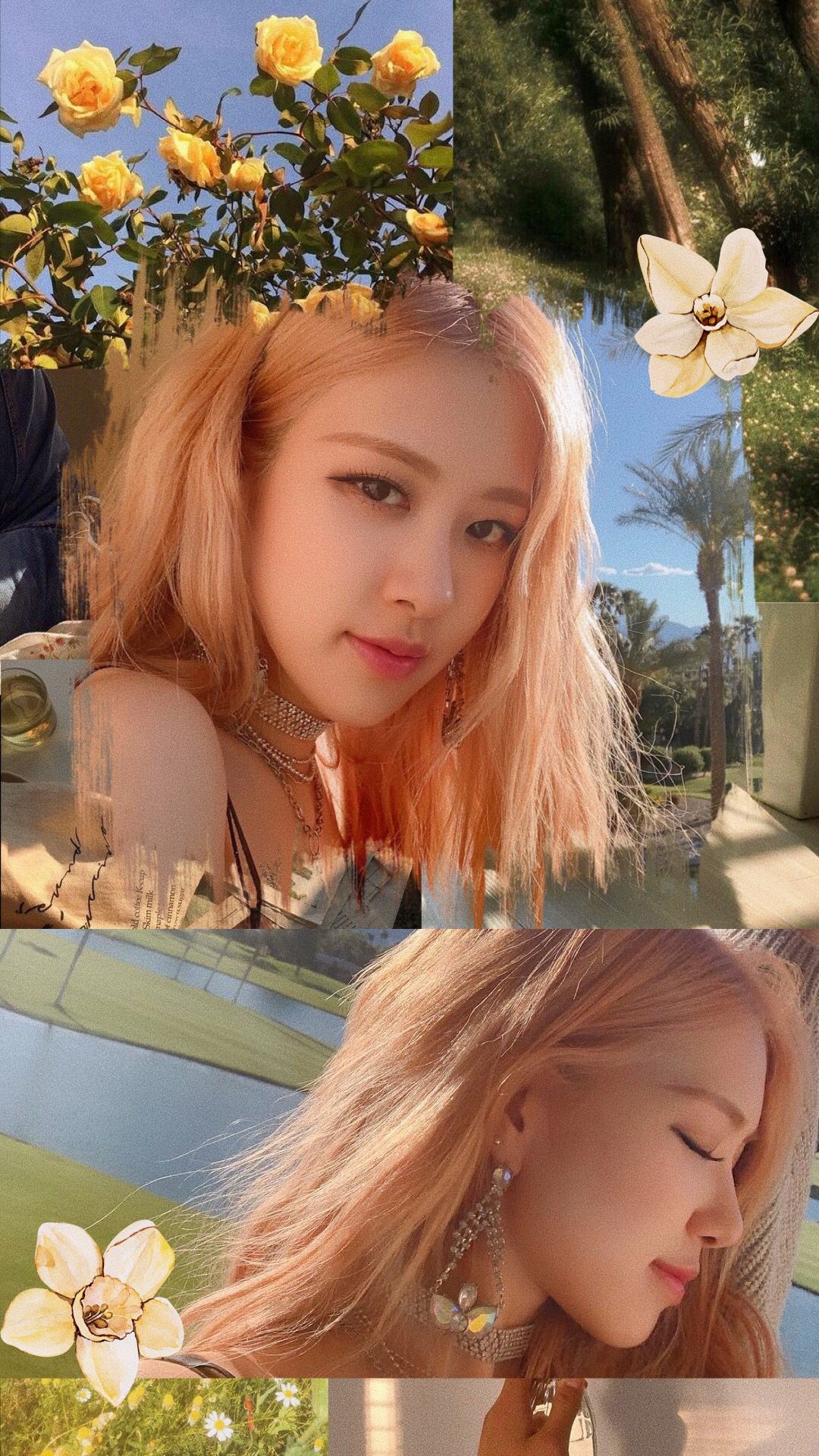 Blackpink Rose Aesthetic Wallpaper