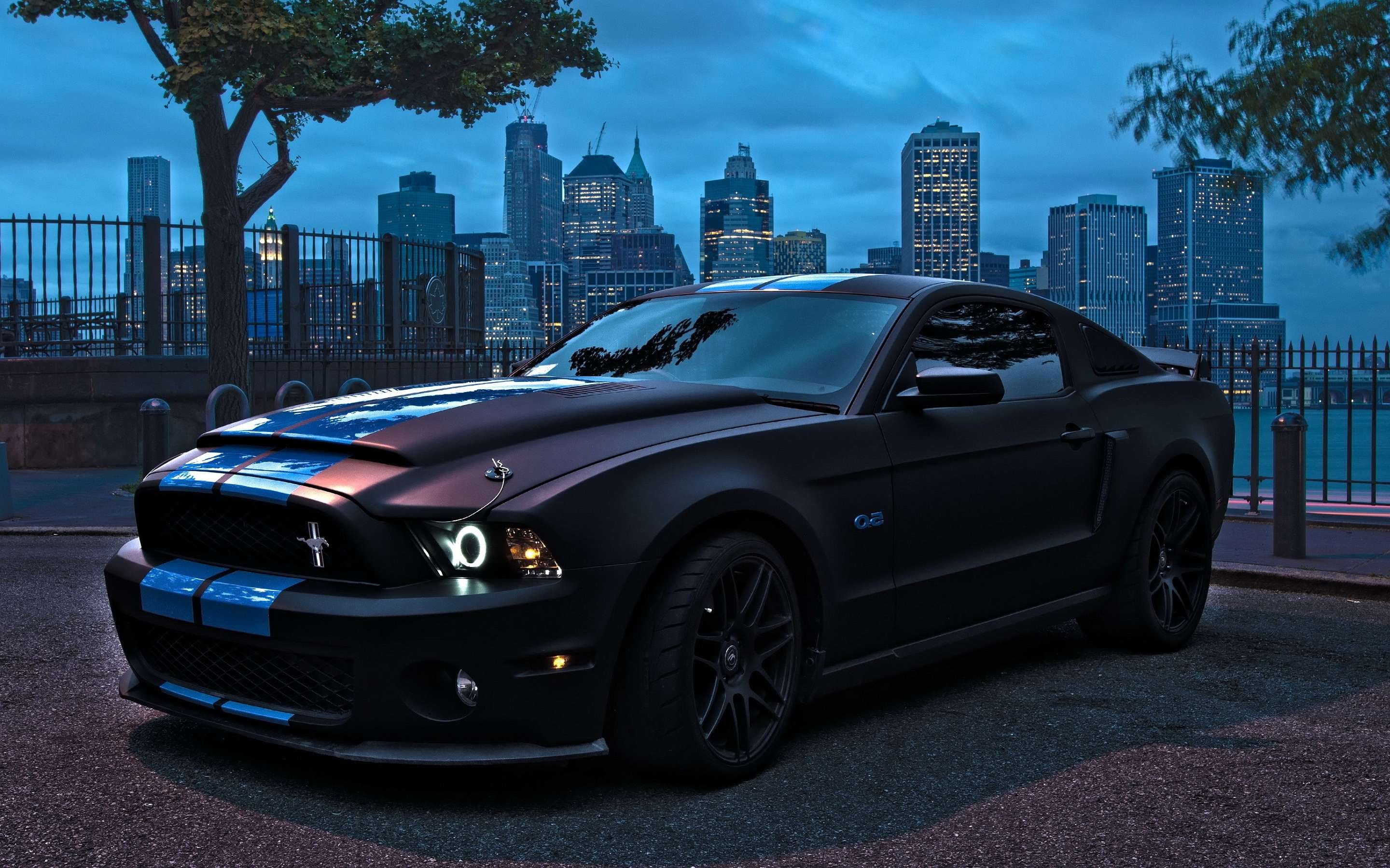 Ford Mustang Shelby Gt500 Impression