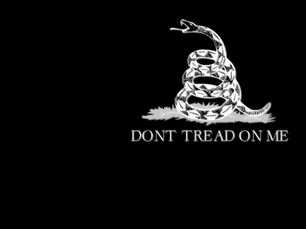 30 Gadsden Flag Stock Photos Pictures  RoyaltyFree Images  iStock   Dont tread on me Tea party Snake