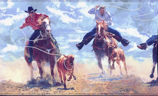 Western Cowboy Wallpaper Roping Border