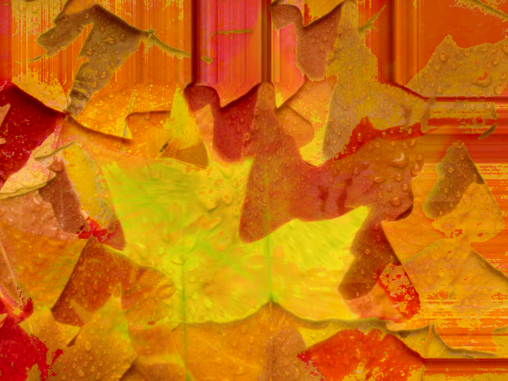 Leaves Desktop Wallpaper HD Background