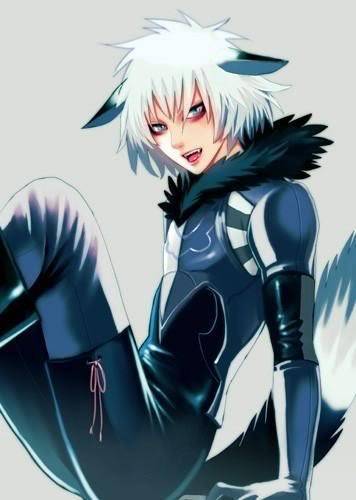 The 30 Best Anime Wolf Characters