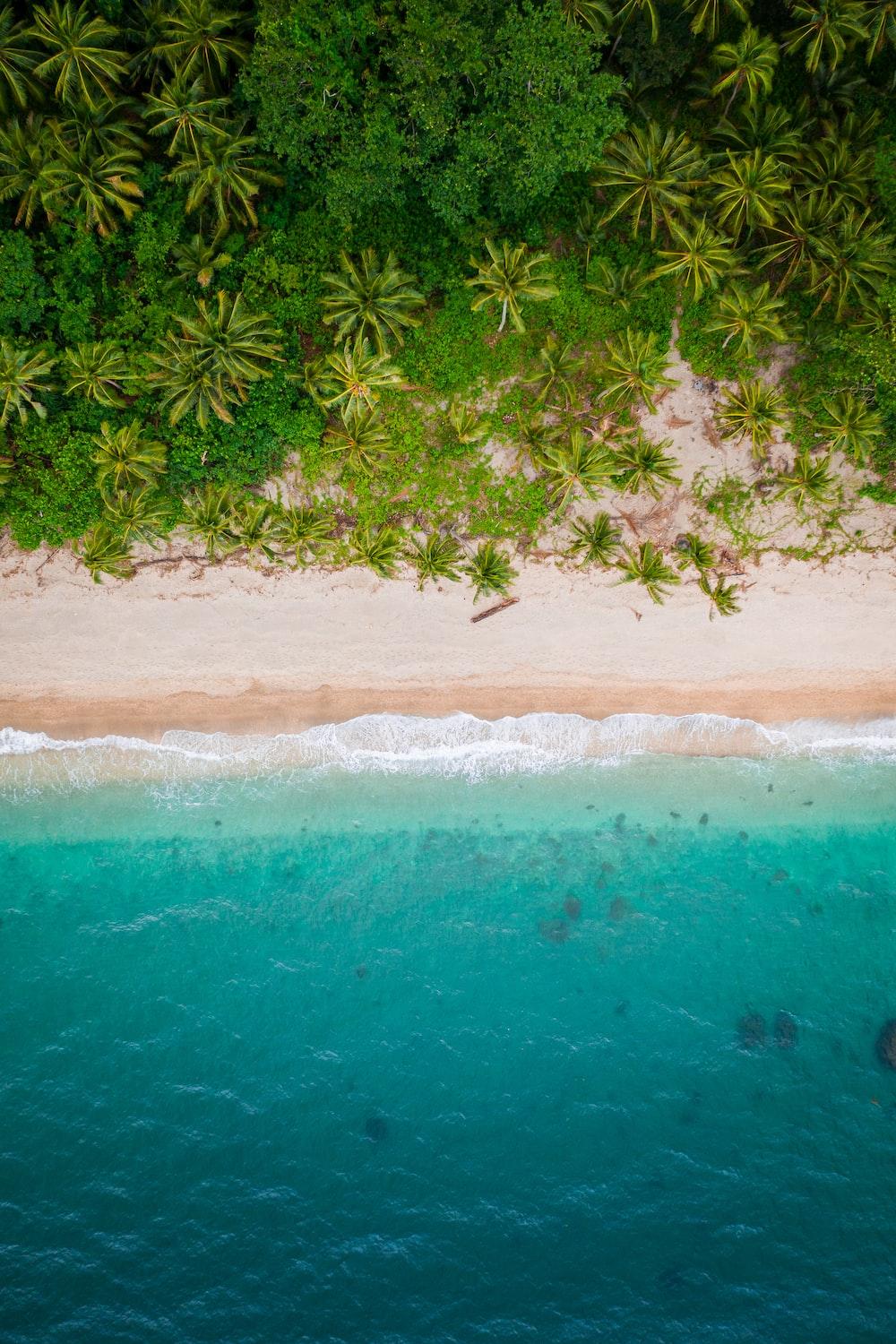 Aerial Of Beach During Daytime Photo Dulangan Image On