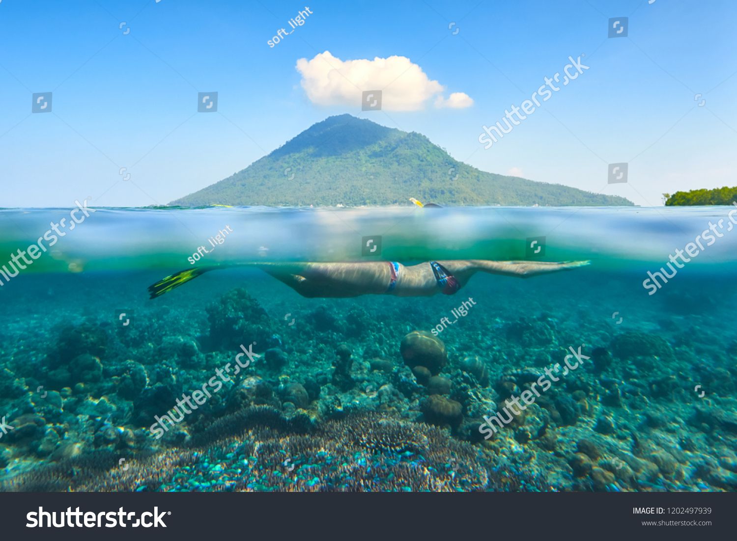 Snorkeling Over A Beautiful Coral Reef In The Background