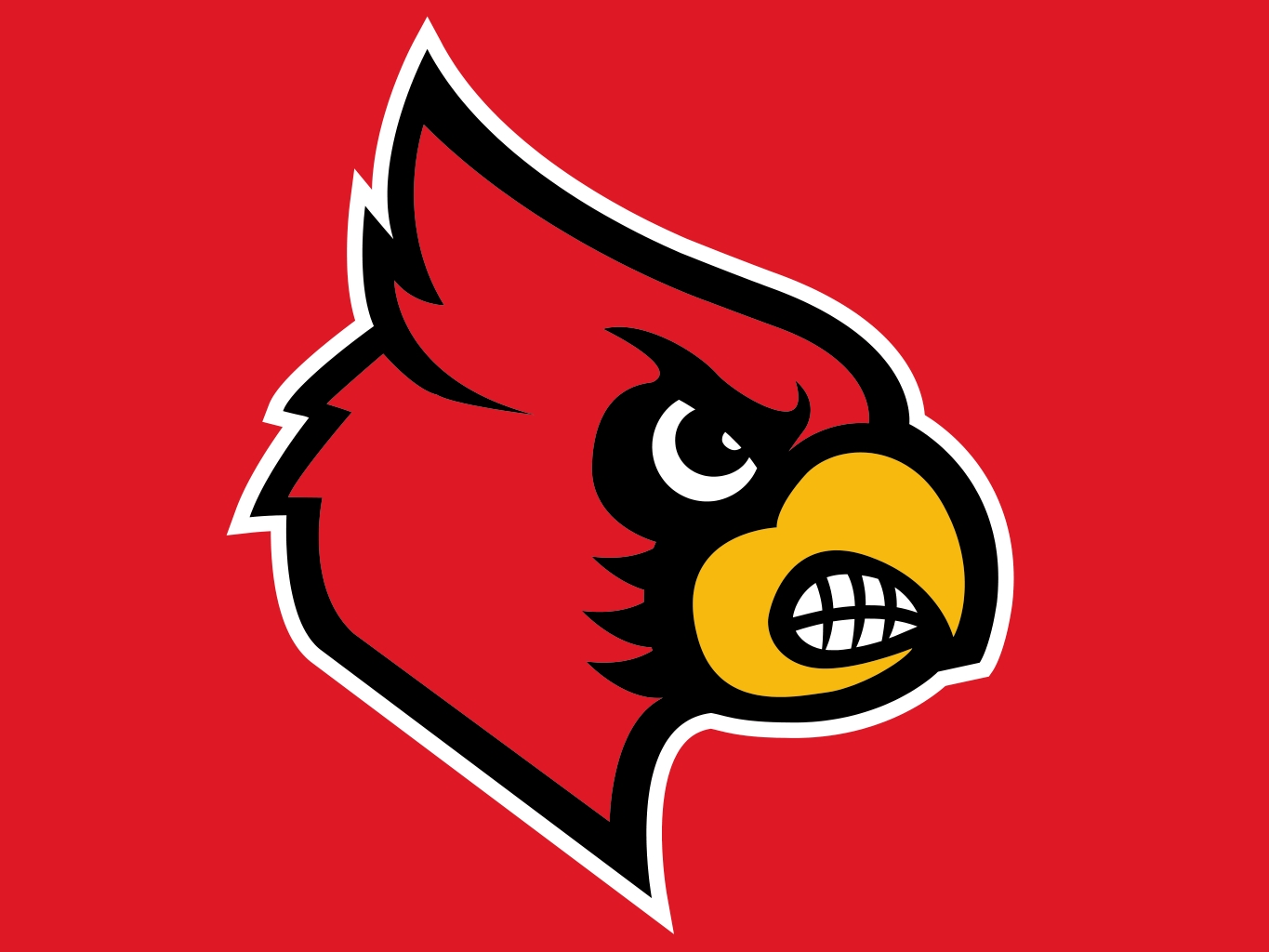 Official NIL Collective Of The Louisville Cardinals