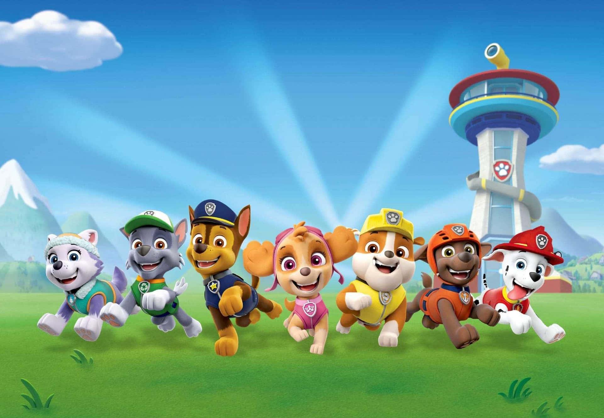30 Paw Patrol Wallpapers WallpaperSafari 30 Paw Patrol Wallpapers WallpaperSafari