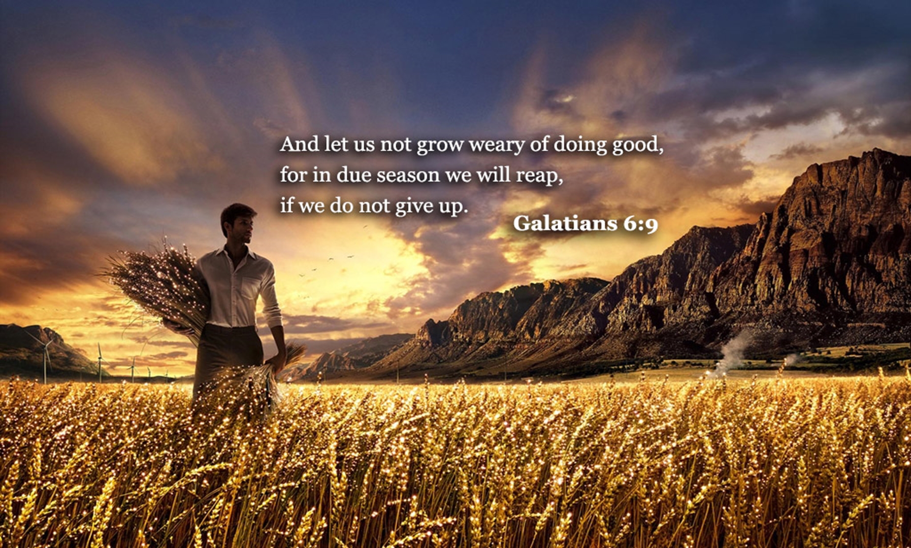 Bible verses about Patience   Galatians 69 HD Wallpaper Free Download