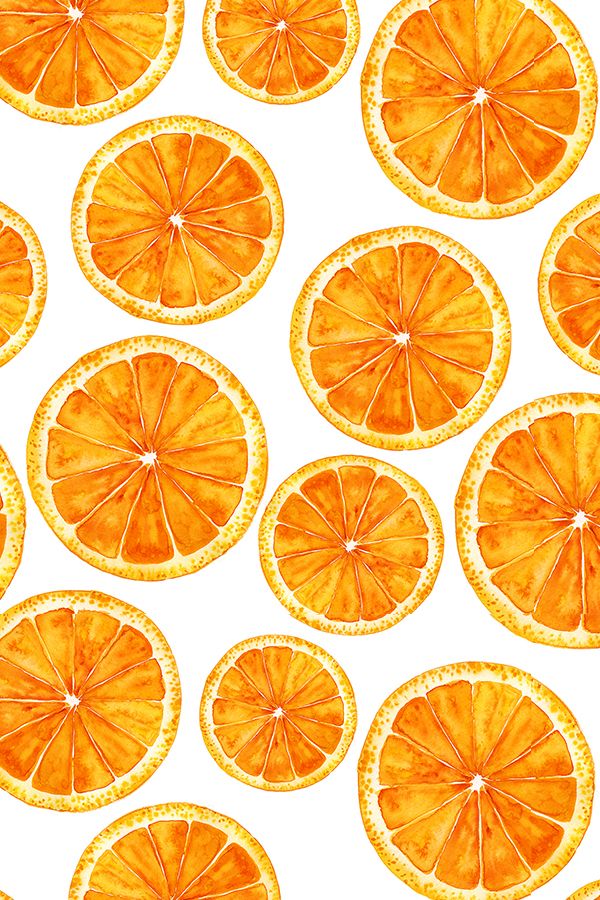 Hand painted bright orange slices on white background by