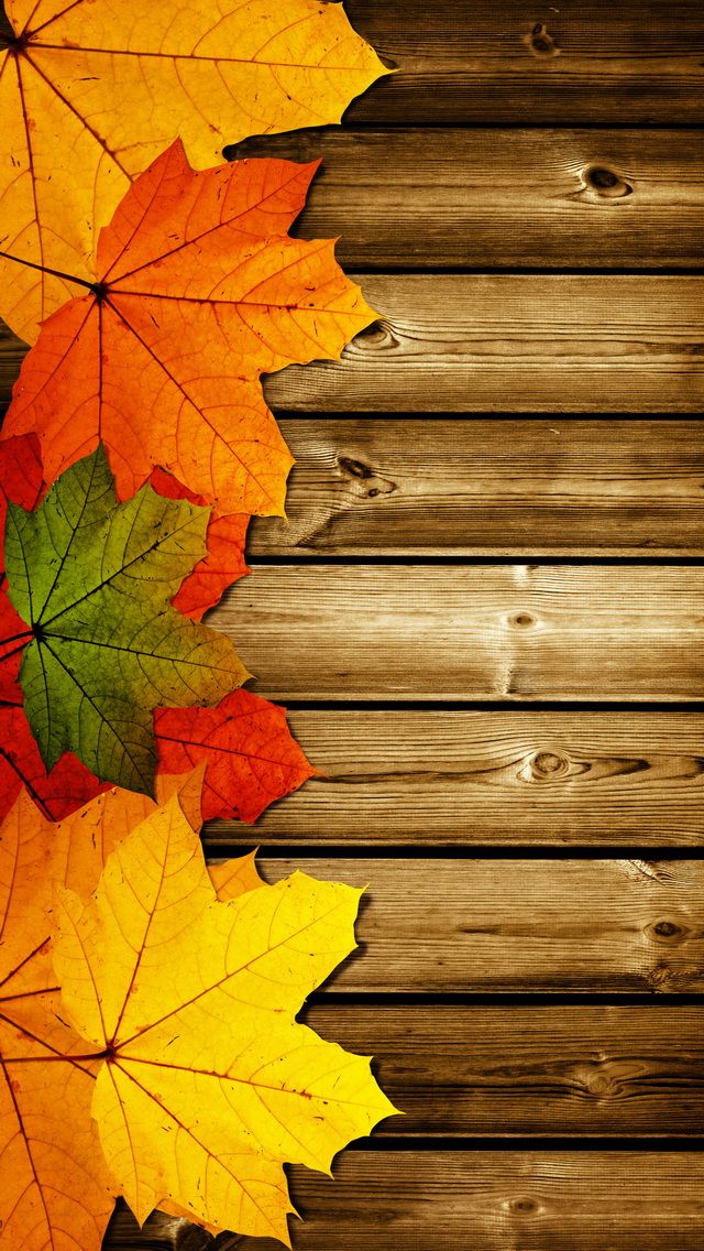 Autumn Leaves Phone Wallpaper
