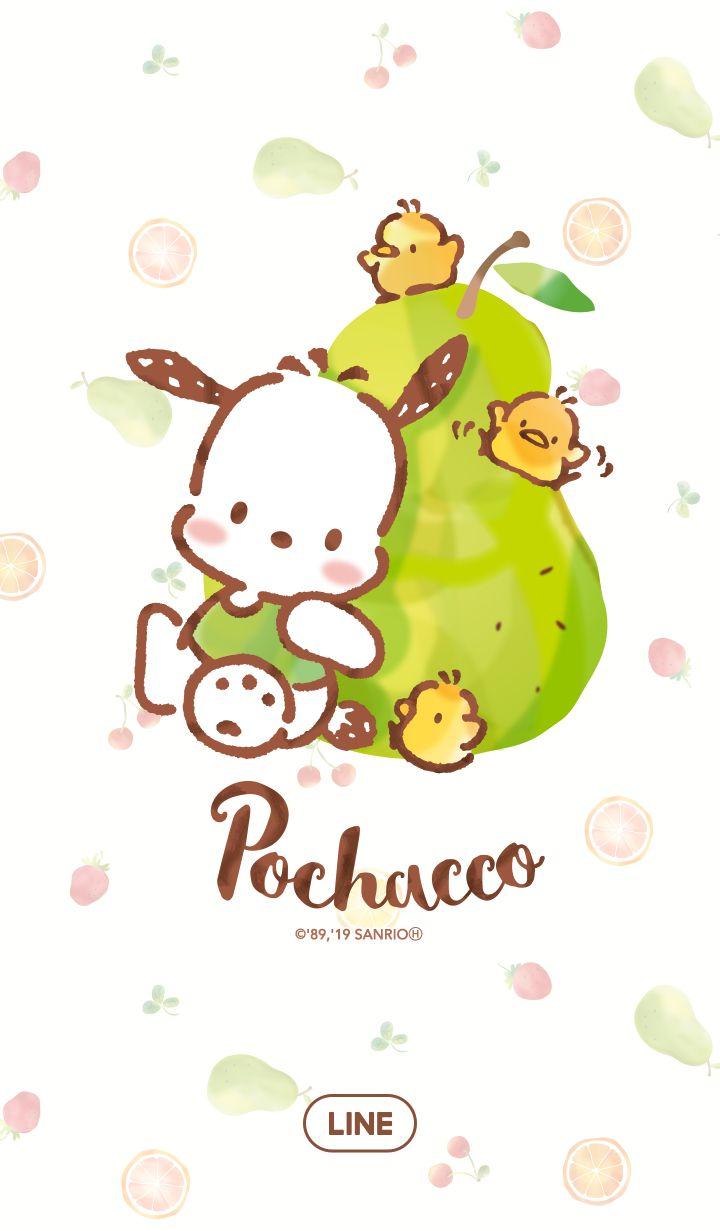 Pochacco Fruits Market Sanrio Hello Kitty Wallpaper