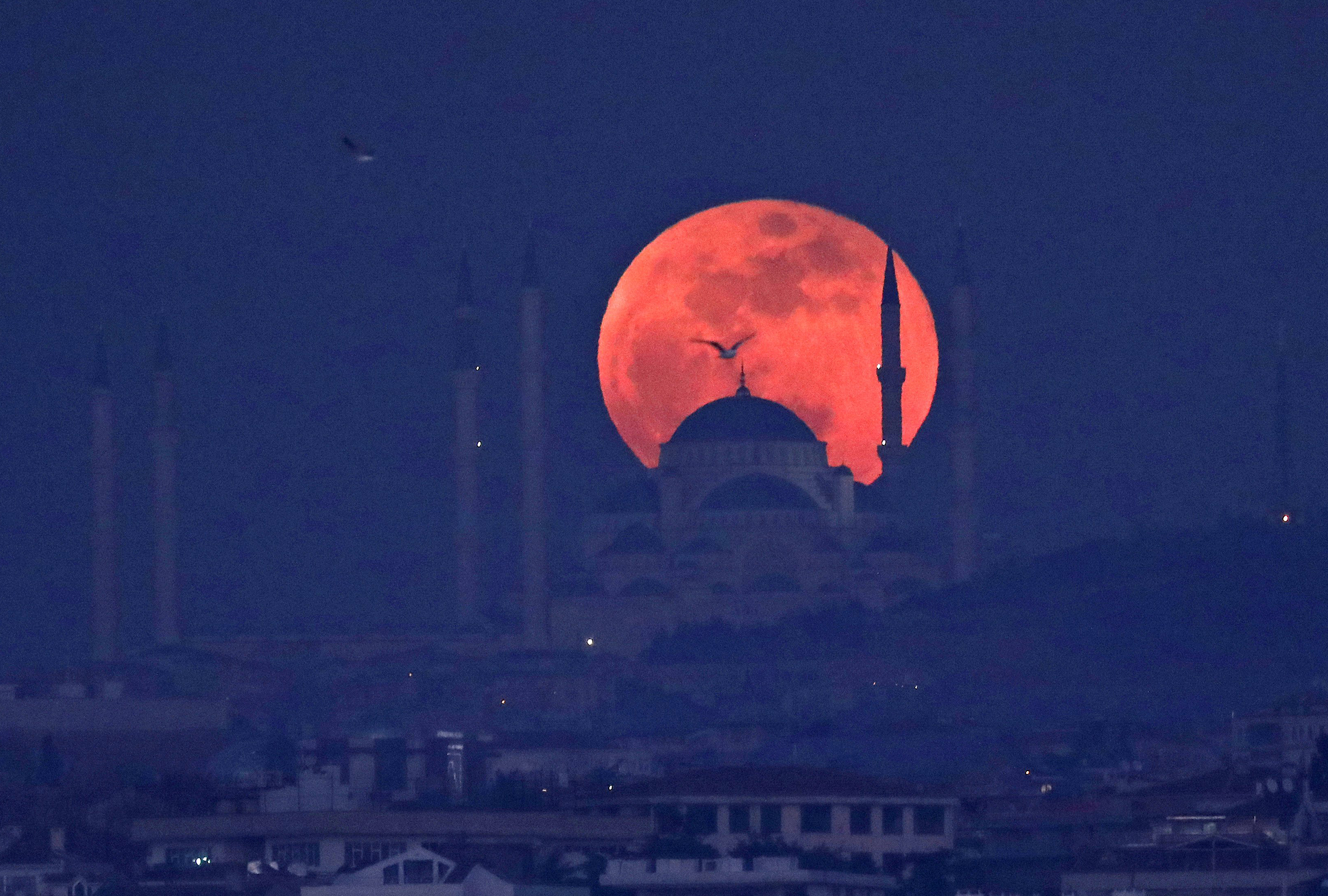 Total Lunar Eclipse How To Watch The July Blood Moon Live
