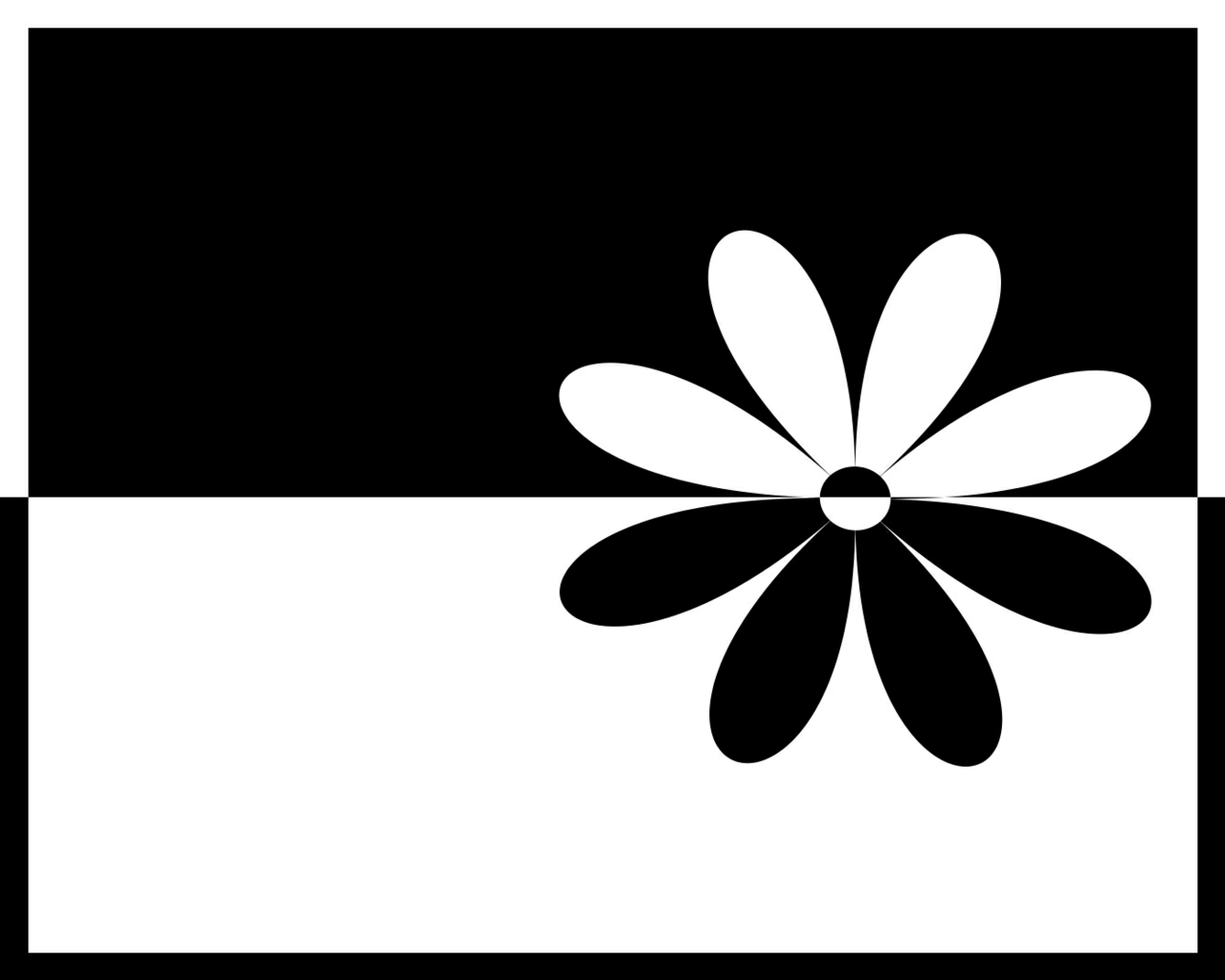Black And White Flower Wallpaper