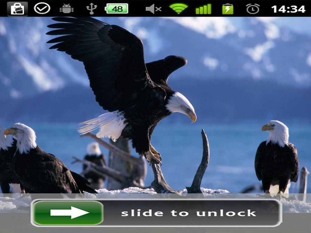 Eagle Lock Screen Wallpaper Screenshot