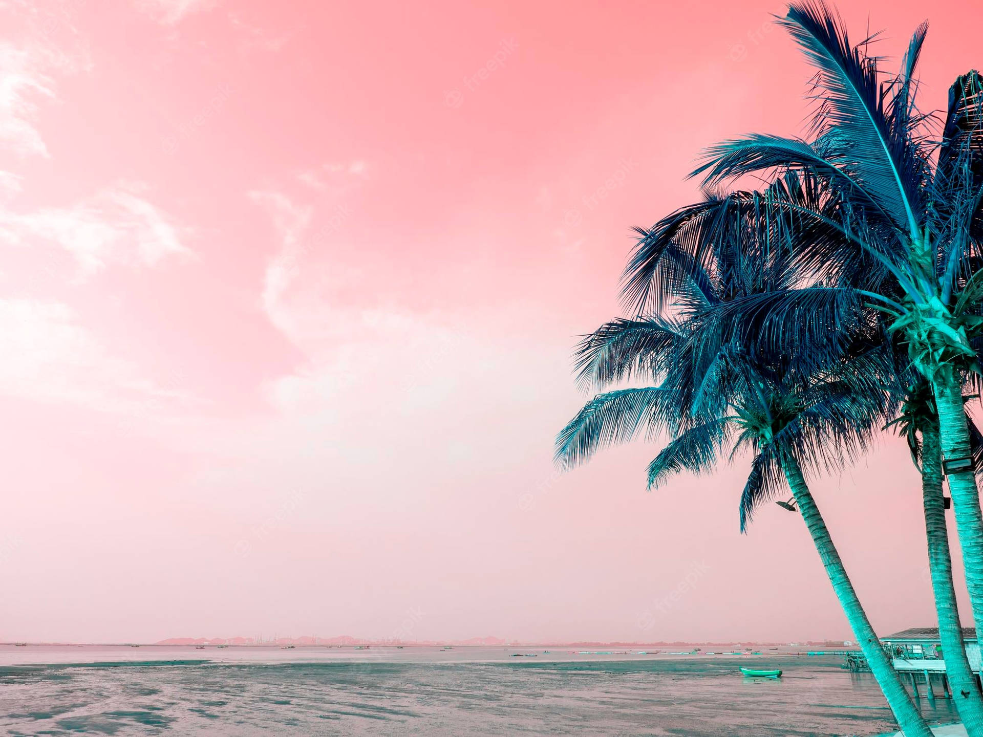 Coconut Tree Wallpaper
