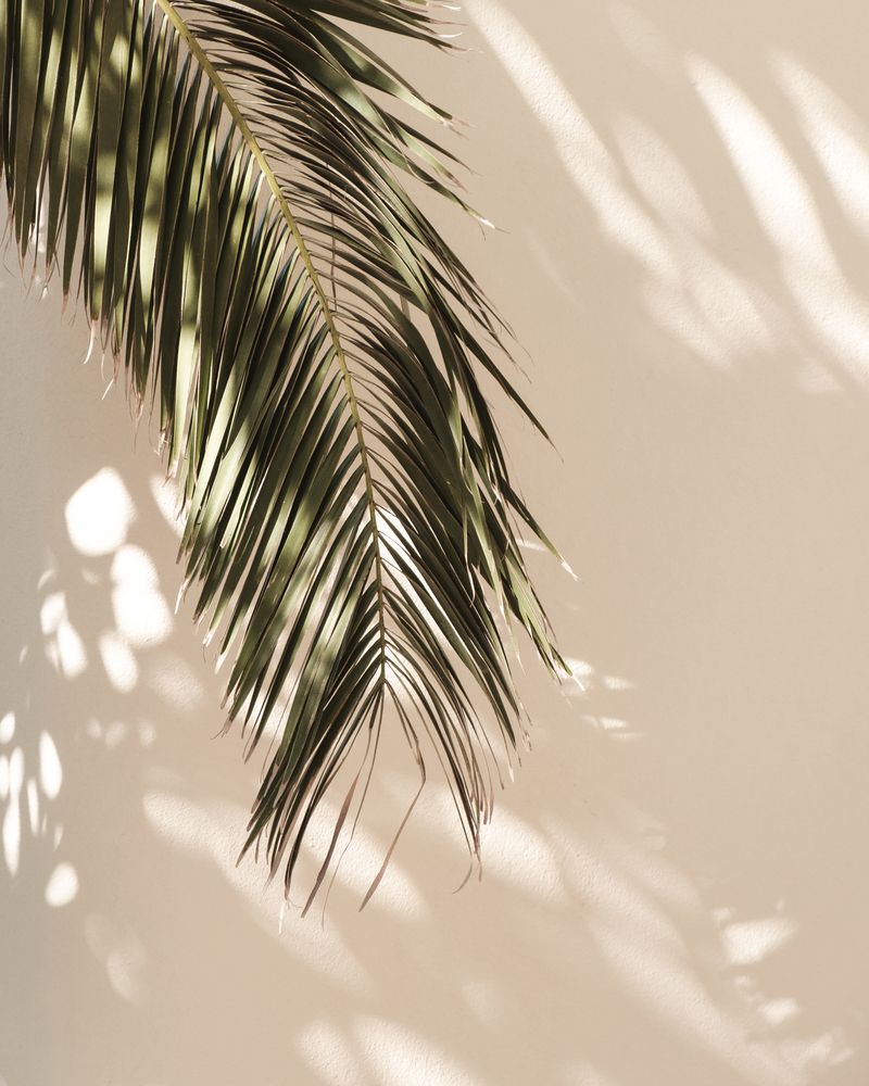Tropical Palm Leaves Vi Art Print By Mauikauai Wallpaper